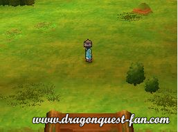 Dragon Quest IX Solution 6