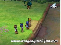 Dragon Quest IX Solution 6