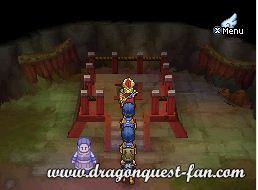 Dragon Quest IX Solution 6