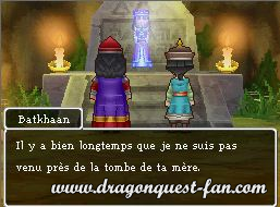 Dragon Quest IX Solution 6