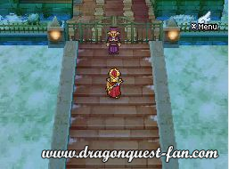 Dragon Quest IX Solution 7