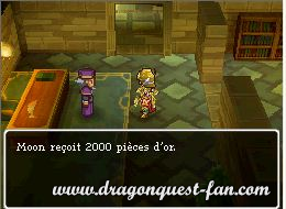 Dragon Quest IX Solution 7