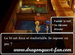 Dragon Quest IX Solution 7