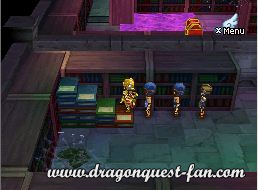 Dragon Quest IX Solution 7