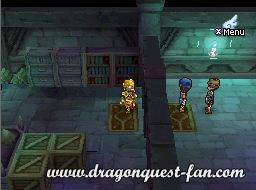 Dragon Quest IX Solution 7