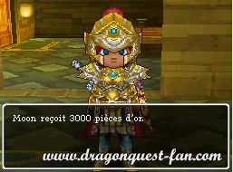 Dragon Quest IX Solution 7