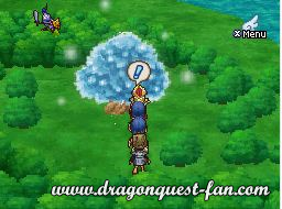 Dragon Quest IX Solution 7