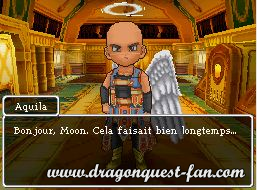 Dragon Quest IX Solution 5