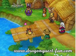 Dragon Quest IX Solution 8