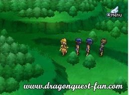 Dragon Quest IX Solution 8