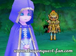 Dragon Quest IX Solution 8