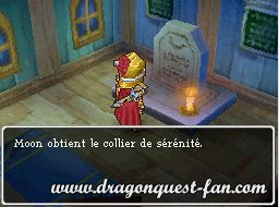 Dragon Quest IX Solution 8