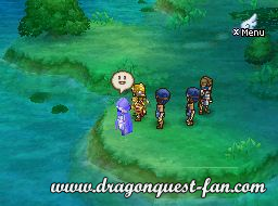 Dragon Quest IX Solution 8