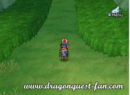 Dragon Quest IX Solution 8