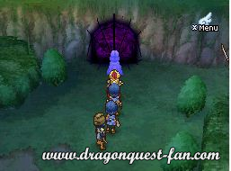 Dragon Quest IX Solution 8