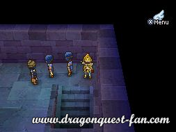 Dragon Quest IX Solution 8