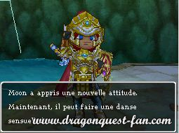 Dragon Quest IX Solution 8