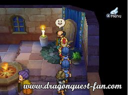 Dragon Quest IX Solution 8