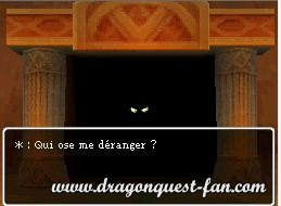 Dragon Quest IX Solution 8