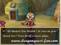 Dragon Quest IX Solution 8