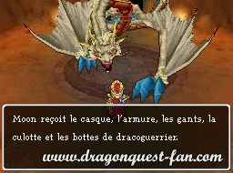 Dragon Quest IX Solution 8