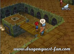 Dragon Quest IX Solution 9