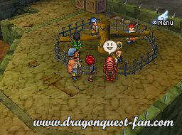 Dragon Quest IX Solution 9