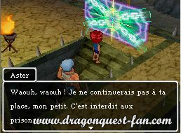 Dragon Quest IX Solution 9