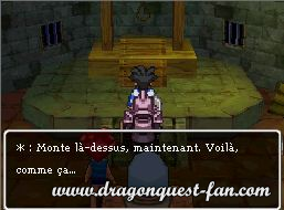 Dragon Quest IX Solution 9