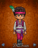 Tenue de Dragon Quest IX
