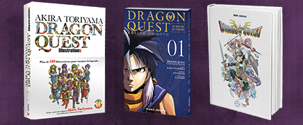 Concours Dragon Quest Fan