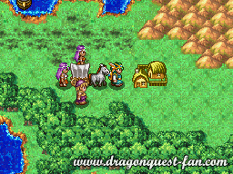 Dragon Quest IV Solution 5 13