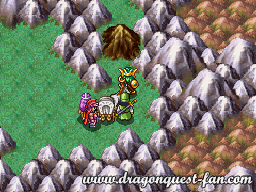 Dragon Quest IV Solution 5 25