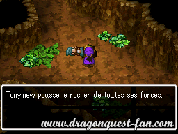 Dragon Quest V Solution 1 3