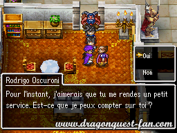 Dragon Quest V Solution 11 13