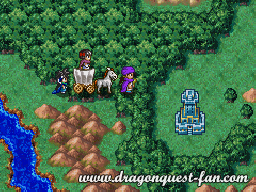 Dragon Quest V Solution 11 3