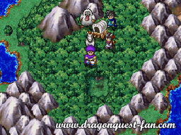 Dragon Quest V Solution 11 7