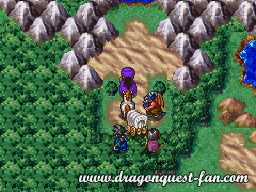 Dragon Quest V Solution 11 9