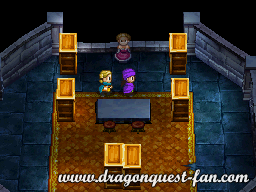 Dragon Quest V Solution 2 3