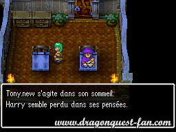 Dragon Quest V Solution 6 1