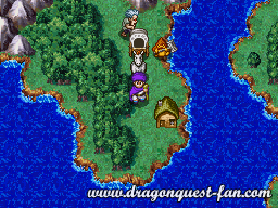 Dragon Quest V Solution 7 1