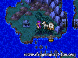 Dragon Quest V Solution 9 1