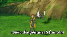 Dragon Quest Solution Ermite Image 2