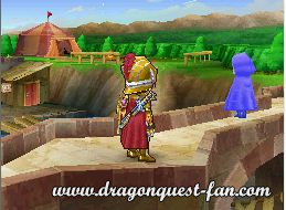 Dragon Quest IX Solution 5