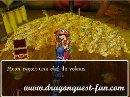 Dragon Quest IX Solution 5