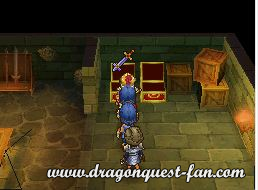 Dragon Quest IX Solution 5