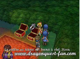 Dragon Quest IX Solution 5