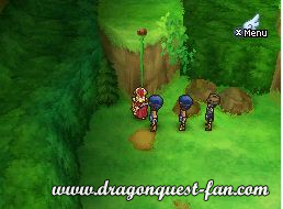 Dragon Quest IX Solution 5