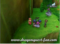 Dragon Quest IX Solution 5