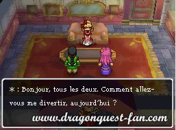 Dragon Quest IX Solution 5